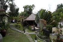 Villa Nirvana Bali Ubud Buitenkant foto